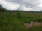 Działki budowlane w Skierniewicach - 3