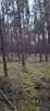 DZIAŁKA swornegacie - 4