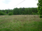 Sprzedam dzialke - 2