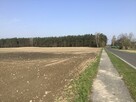 Działka Sosnowo - 7