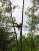 Usługi alpinistyczne, arborysta, alpinista przemyslowy - 8