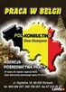 praca w Belgii zbiory sadzenie warzywa praca legalna - 2