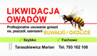 Likwidacja, usuwanie gniazd os, pszczół i szerszeni - 2