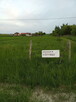 Działka Łuszczów Drugi - 2