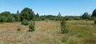 Sprzedam działkę bezpośrednio nad najczystszą rzeką Wkrą - 12