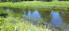 Sprzedam działkę bezpośrednio nad najczystszą rzeką Wkrą - 2