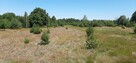 Sprzedam działkę bezpośrednio nad najczystszą rzeką Wkrą - 13