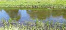 Sprzedam działkę bezpośrednio nad najczystszą rzeką Wkrą - 1