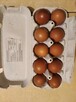 Jajka lęgowe kur marans - 2