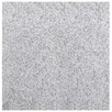 Granit Gotowe Elementy 60x60x3 Płomieniowany Podjazd Taras - 1