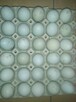 Jajka lęgowe araukana bezogoniasta - 1