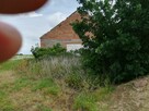 Sprzedam fajne siedlisko - 3