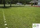 KRATKA TRAWNIKOWA Parkingowa Stella Green Premium 50x50x4 - 12