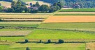 Dzierżawa gruntów pod fotowoltaikę / wiatraki
