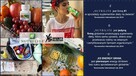 Produkty Amwey, Artistry, Nutrilite, DoubleX, XS - 2