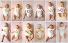 Naklejki do zdjęć 12 sztuk miesiąc życia dziecka - 5
