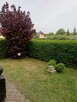 Rowy-gotowiec inwestycyjny nad morzem - 16