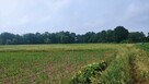 Działki Rolne (1000 m2) Skałka - 3