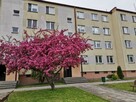 M5 po remoncie blisko Axtone S.A. - 4