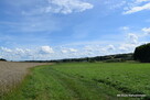 DZIAŁKI W ROGACH NA OŚ. DOMKÓW JEDNORODZINNYCH - 10