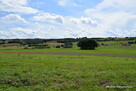 DZIAŁKI W ROGACH NA OŚ. DOMKÓW JEDNORODZINNYCH - 4