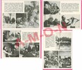 FOTOSERWIS OBRONY CYWILNEJ nr 4/81 - 6
