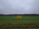 Sprzedam działki - 6