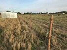 Ogrody Prace Porządkowe Wycinki Ogrodzenia Kompleksowo Inne - 7