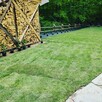 Trawnik z rolki z montażem i fakturą - 7