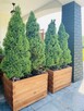 Donica ogrodowa drewniana 90/90/100 cm producent - 6