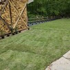 Trawnik z rolki z montażem i fakturą - 6