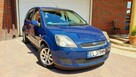 Ford Fiesta 1.3 KLIMA, Zadbany, bez korozji, Bezwypadkowy, zadbany. - 3