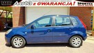 Ford Fiesta 1.3 KLIMA, Zadbany, bez korozji, Bezwypadkowy, zadbany. - 6
