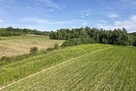 31 arów działki rolno-rekreacyjnej w Kielnarowej - 5