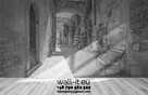 Fototapeta Wabi Sabi z drzewami na betonie nowoczesny design - 5
