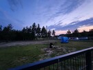 Wynajmę działkę 1200m2 Duczki 30 km od Warsz. z prądem. - 1