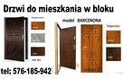 Drzwi wejściowe do mieszkań zewnętrzne drewniane i meralowe - 7
