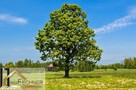 Pod agroturystykę, budynek 707m2, działka 22698m2 - 3