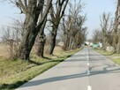 Działka budowlana Łazy gm. Kampinos - 4
