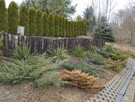 Sprzedam działkę rekreacyjną nad jeziorem Ługowiska - 4
