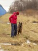 Borys cudny, majestatyczny psiak do adopcji 45kg - 3