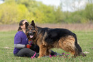 Cudo do adopcji, Borys onek długowłosy 6l. 45kg - 12