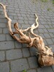 Duży korzeń do akwarium vivarium terrarium - 2