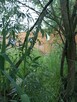 Wakacje - 2