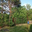 Sprzedam działkę pracowniczą - 4