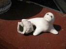porcelanowe figurki muszla i foczka - 5