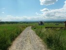 Działki Dzialki rolno budowlane Załuczne - 5