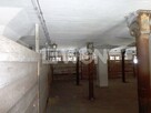 Działka z obiektem produkcyjnym, Szczecinek - 8