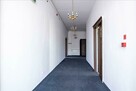 Lokal do wynajęcia od zaraz, Piotrkowska - 2