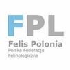 Małe koty bengalskie już do kupienia ŚLICZNE rodowód FIFe - 11